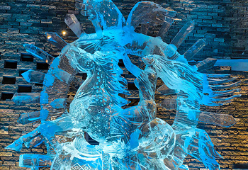 哈尔滨冰雪大世界第 309 张图片