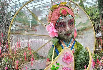 新加坡滨海湾花园第 143 张图片