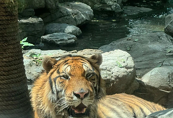 北京野生动物园第 338 张图片