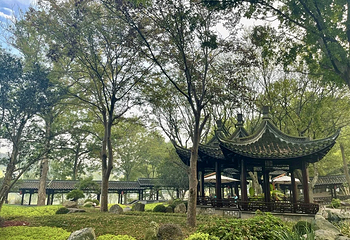瘦西湖第 171 张图片