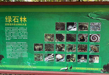中国科学院西双版纳热带植物园第 63 张图片