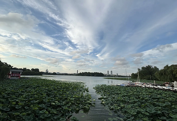 玄武湖景区第 127 张图片