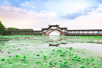 锦溪古镇第 41 张图片