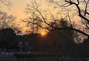 莫愁湖公园第 23 张图片