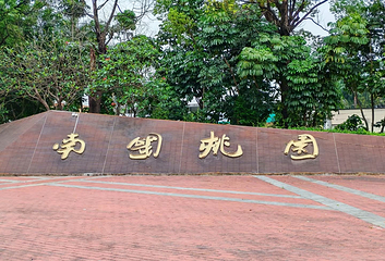 南国桃园第 21 张图片