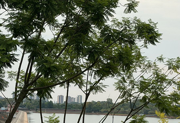 三岔湖景区第 62 张图片