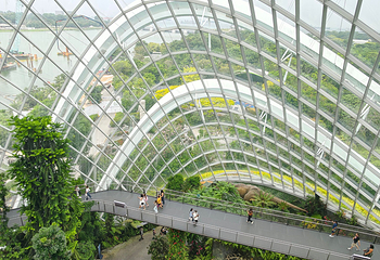 新加坡植物园第 61 张图片