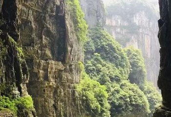 武隆天生三桥第 207 张图片