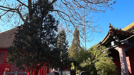 唐山玉清观第 1 张图片
