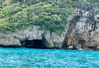 鳄鱼岛第 6 张图片