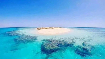 Marsa Alam Reef