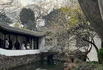 拙政园第 325 张图片