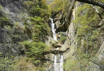 太平国家森林公园第 90 张图片