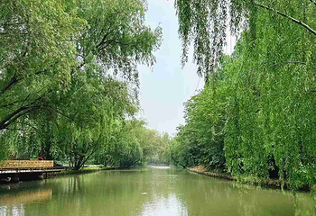 同里国家湿地公园第 117 张图片