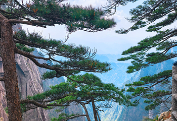 黄山风景区第 222 张图片