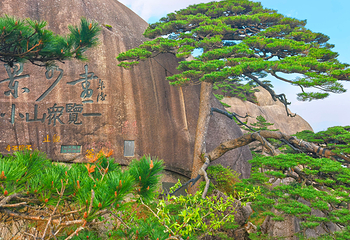 黄山风景区第 30 张图片