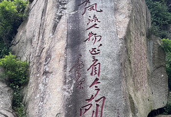 泰山风景区第 260 张图片