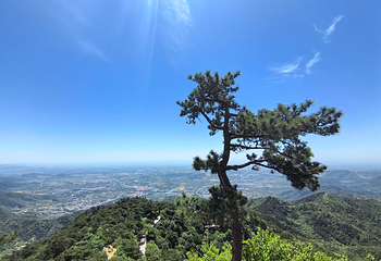 盘山第 36 张图片