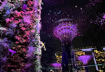 新加坡滨海湾花园第 165 张图片
