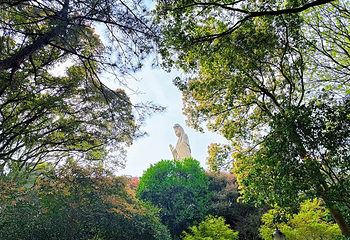 普陀山风景区第 143 张图片