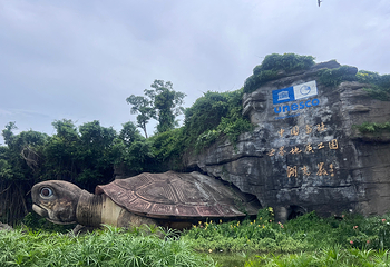 湖光岩风景区第 36 张图片