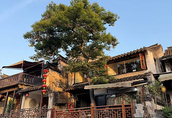 西塘古镇第 94 张图片