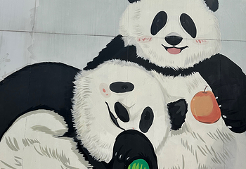 成都大熊猫繁育研究基地第 296 张图片