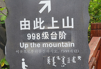 阿尔山国家森林公园第 187 张图片