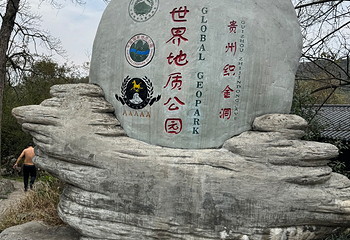 织金洞第 154 张图片