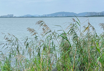 东太湖生态旅游度假区第 32 张图片