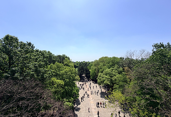 钟山风景名胜区第 72 张图片