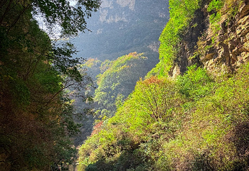 太行山大峡谷八泉峡景区第 128 张图片