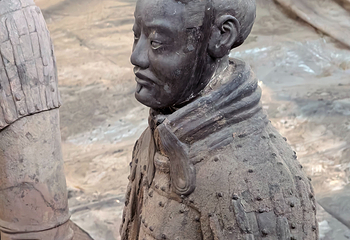 秦始皇帝陵博物院(兵马俑)第 447 张图片