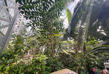 美国国家植物园第 35 张图片