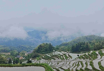 云和梯田景区第 97 张图片
