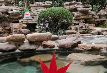 树山生态村第 62 张图片