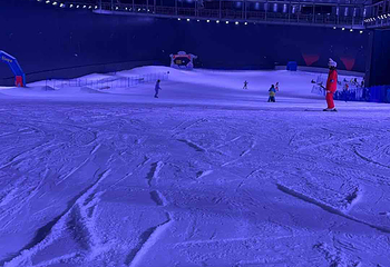 阿尔卑斯雪世界第 442 张图片