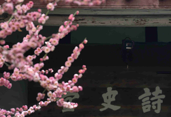 杜甫草堂第 140 张图片