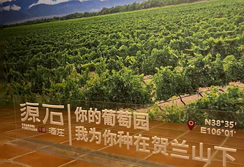 源石酒庄第 39 张图片