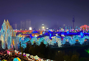 自贡·中华彩灯大世界第 39 张图片