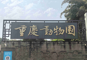 重庆动物园第 151 张图片