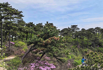 庐山风景名胜区第 237 张图片