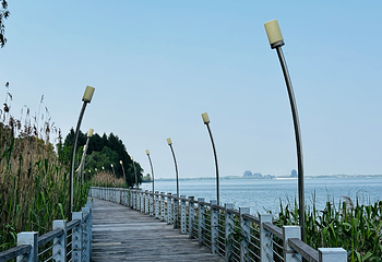 阳澄湖第 25 张图片