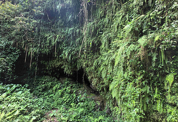 雷琼海口火山群世界地质公园第 73 张图片