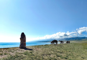 青海湖景区第 63 张图片