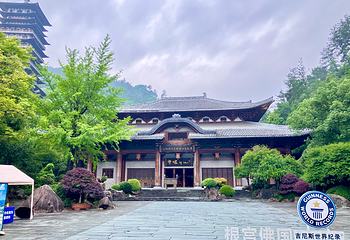 根宫佛国文化旅游区第 14 张图片