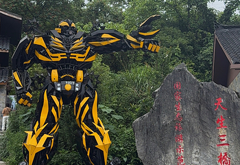 武隆天生三桥第 82 张图片