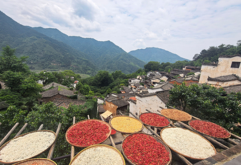 婺源篁岭景区第 111 张图片