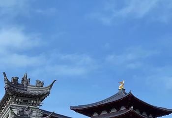 普陀山风景区第 265 张图片