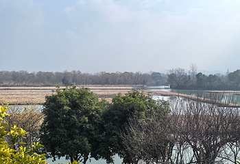 西溪国家湿地公园第 224 张图片